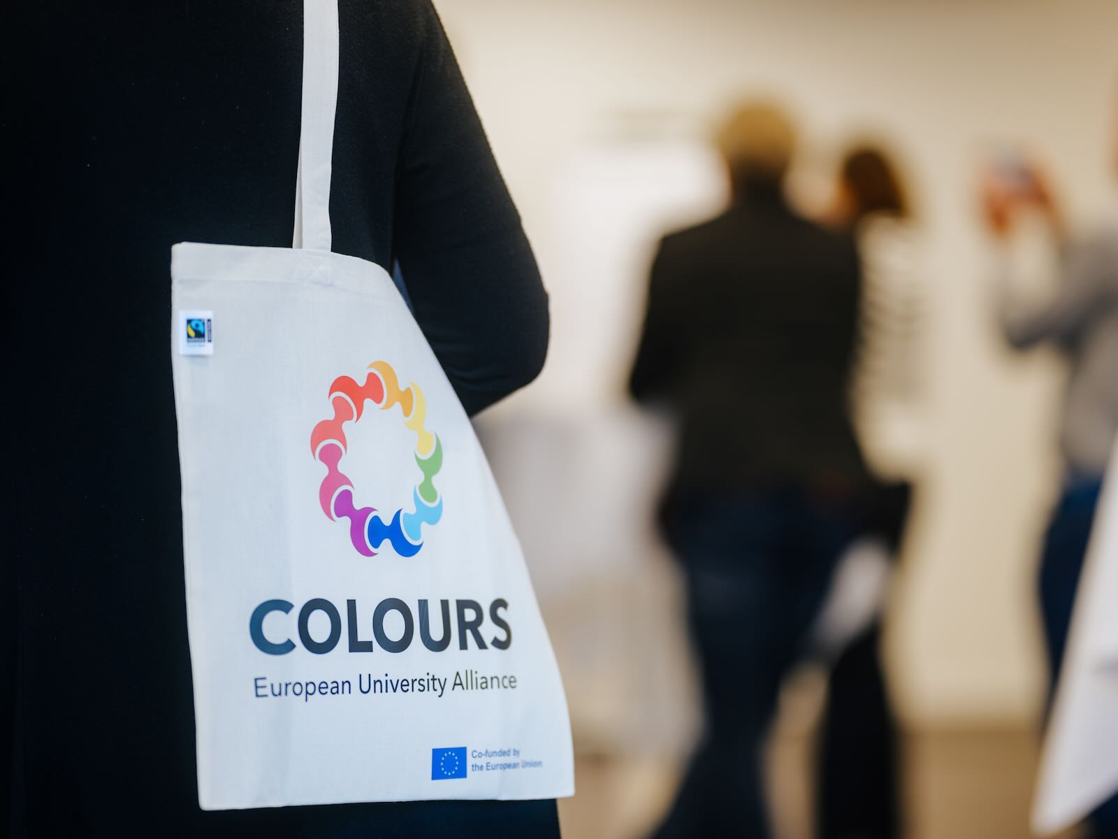 Moderation: CoLab der COULOURS-Allianz